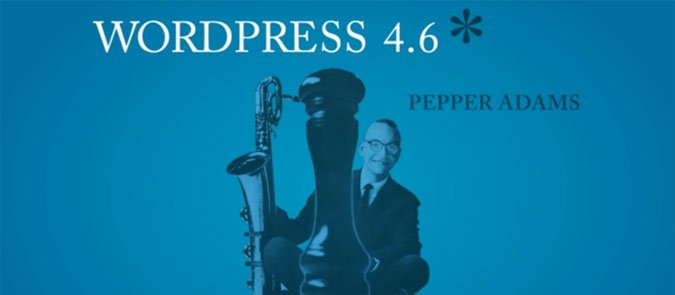 WordPress 4.6 „Pepper“ steht zum Download bereit