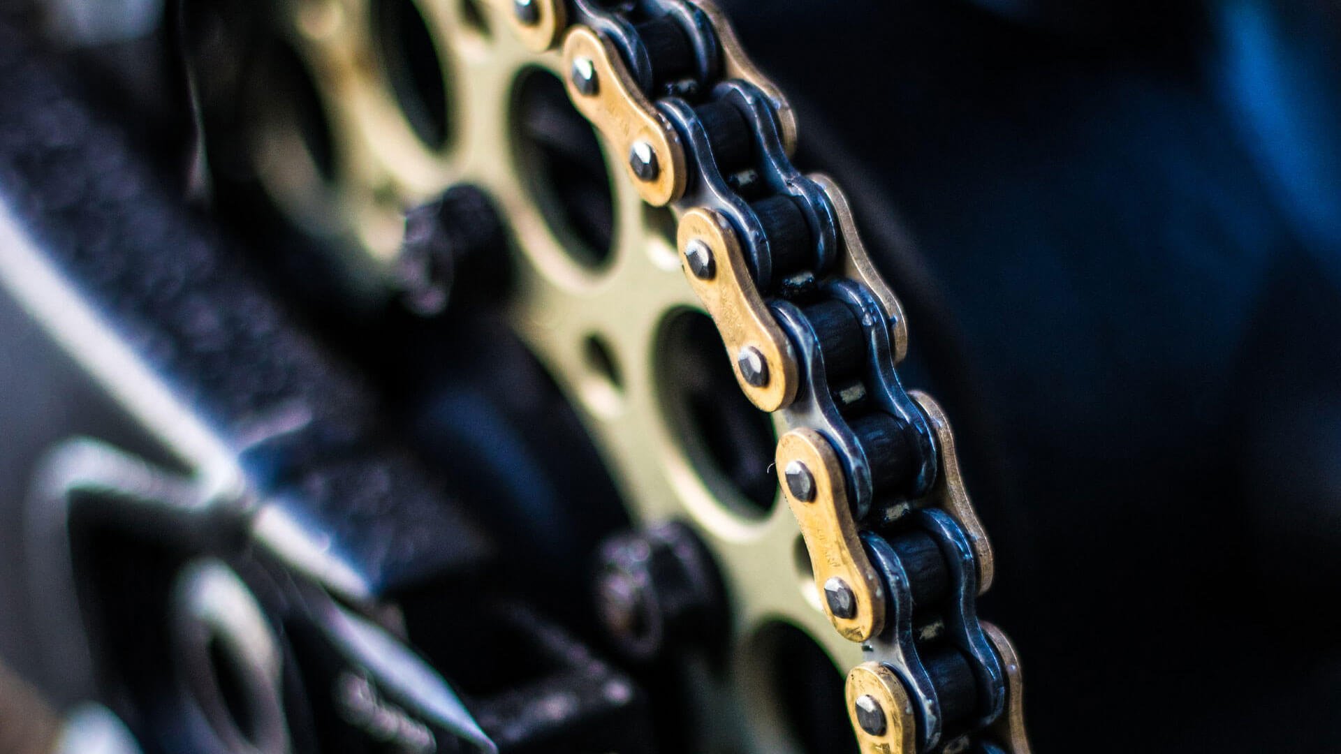 WordPress Wartung