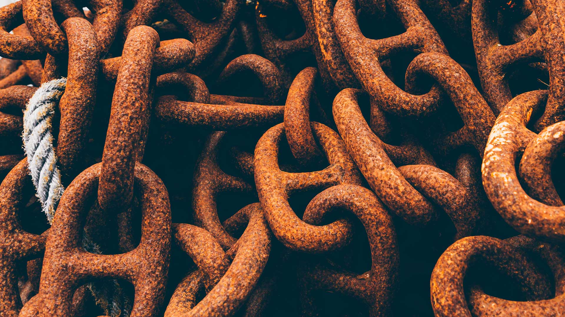 Backlink Bereinigung
